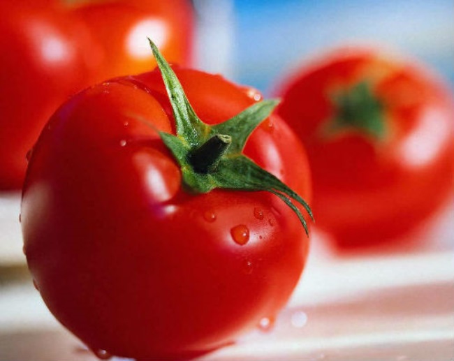 Жареные помидоры польза вред